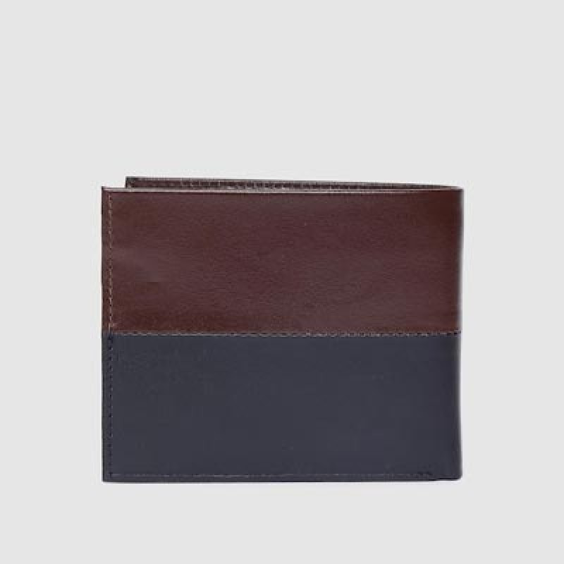 Men Brown & Navy Blue Colourblocked Genuine Leather Two Fold Wallet